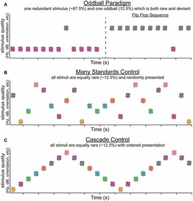 Cortical Microcircuit Mechanisms of Mismatch Negativity and Its Underlying Subcomponents